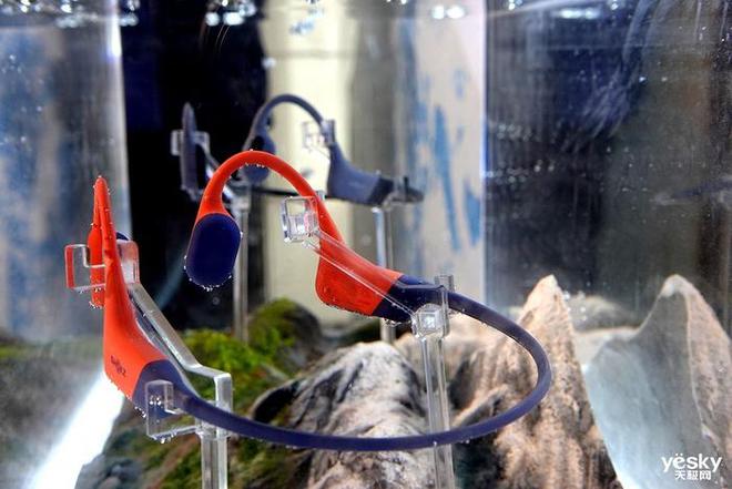 深耕运动加速破圈：Shokz 2024 韶音展现品必威牌发展新愿景(图7)