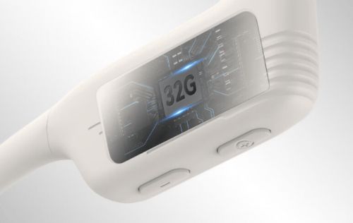 2025年运动耳机怎么挑？运动耳机各品牌亮点解析选购不踩坑(图3)